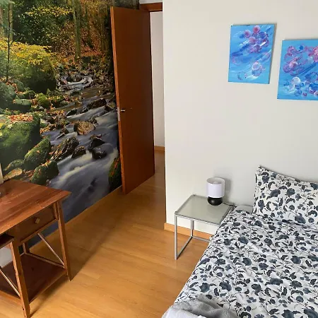 Appartement Duplex Roca Del Sucut à Ribes De Freser Extérieur photo